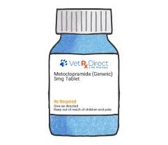 Image result for Metoclopramide