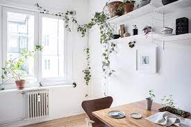 My favorite room is definitely the living room! Scandinavian Home With Green Plants