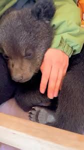 This is so sweet!! , 🎥 @buffylex