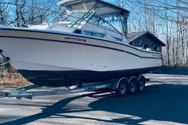 Image result for White 1990 Fleet