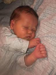 Babies of the Central Highlands, 2020