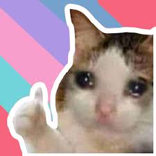 1920x1080 hd pics photos sharp looking cute cat hd quality desktop background wallpaper. Rainboi Rainboi15 Twitter