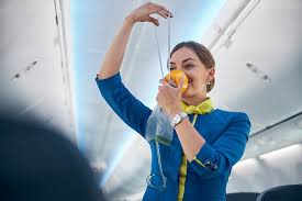 Customer service ( 17) jobs. Cabin Crew Job Description Aviation Job Search Blog