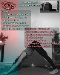 Mazeexit Fitness On Instagram Downward Doggy B Ps Yoga Meditation Fitness Yogainspiration Yogalife Love Yog Yoga Life Yoga Inspiration Doggy