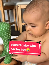 Baby's Hilarious Reaction to Talking Cactus Toy