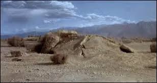 Pulse marketing agency was founded in 2009 and employs a group of highly qualified marketing professionals. Futuristicstarfishjellyfish Tumblr Blog Tumgir