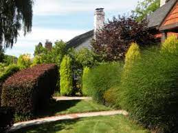 Maybe you would like to learn more about one of these? A Tapestry Garden The Art Of Weaving Plants And Place Bobbie S Green Thumb