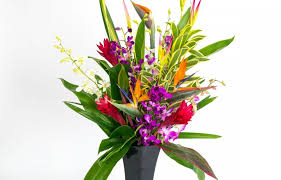 Maybe you would like to learn more about one of these? Alii Flowers Hawaiian Flowers Fresh Leis Gift Baskets