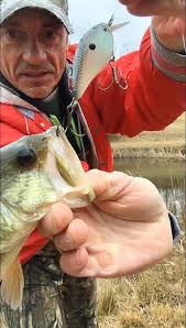 Some quality fish this go round!!