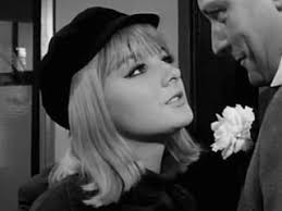 Doctor Who Cast & Crew Guide: Anneke Wills biography