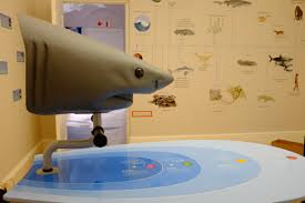 Shark Senses Vr Exhibit Scoops International Award Sosf Shark Education Centre