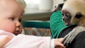 Zum heutigen Kindertag zeigen wir euch Thüringens süßeste Babys