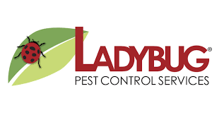 Stop paying big money for pest control. Ladybug Pest Control Services Quality Pest Control Serving Greater Boston And South Shore Ma