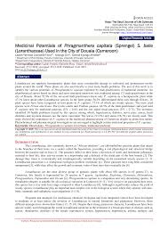 Image result for Phragmanthera capitata