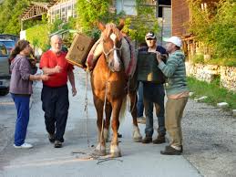 Significato del proverbio chi va piano va sano e va lontano. Chi Va Piano Va Sano Chi Va Sano Va Lontano Searching For Calascio