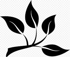 Use these free bunga png #33373 for your personal projects or designs. Bunga Hitam Putih Supermarket Continente Pendidikan Ruang Batang Tanaman Blog Lingkungan Png Klipartz