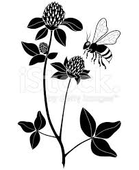 Black And White Vector Art Flowers A Vector Illustration Of A Flying Bee And Clover Plant In Black And Butterfly Illustration Monarch Butterfly Butterflies Vector