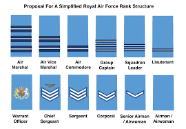 Other ranks are the enlisted soldiers of the army. Nicholas Drummond On Twitter Proposal For A Simplified Rank Structure 6 Officer Ranks Plus 6 Enlisted Rank Between Colonel And General Becomes Vice General Like Vice Admiral Every Enlisted Soldier Male Or