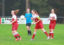 Hinsichtlich der platzgröße erlauben die vorgaben aber immense unterschiede. Fussball Norweger Modell 9 Spielerinnen Kleines Feld Grosse Tore Bezirk Boblingen Calw Schwarzwalder Bote