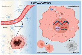 Image result for Temozolomide