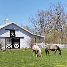 Our clydesdale, haymaker and teton horse barns are our . A 3 Stall Barn For Horses Entertaining Outside Of Chicago Stable Style Horse Barn Designs Horse Barns Horses