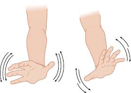 Image result for Cerebellar Function Test