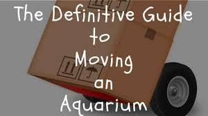 When you get home put all of the rock in the garbage can with the water taken from the tank. The Definitive Guide To Moving An Aquarium Saltwater Aquarium Blog