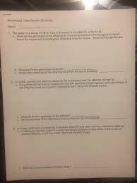 Answer the questions that accompany each problem. Punnett Square Practice Monohybrid Mice Ansers Monohybrid Problems Worksheet Answers Nidecmege Learn How To Use Punnett Squares To Calculate Probabilities Of Different Phenotypes