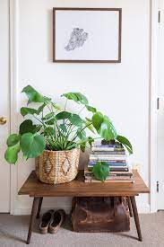 Pin On Plant Lover