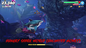 Hungry shark evolution is a mobile optimized game that many people are already playing around the world. Hungry Shark World Mod Apk V4 5 0 Money For Android