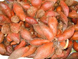 Salak Definition And Synonyms Of Salak In The Malay Dictionary