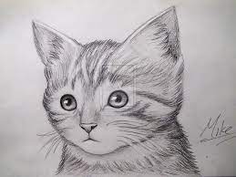 Pin On Drawings