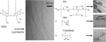 Both adsorption and absorption are sorption processes. Adsorption Of Polyelectrolytes Onto The Oppositely Charged Surface Of Tubular J Aggregates Of A Cyanine Dye Springerlink