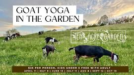 Goat Yoga in the Garden