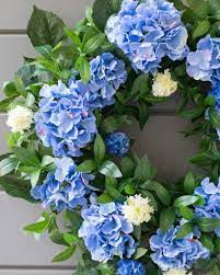 Outdoor Hydrangea Foliage Balsam Hill Blue Hydrangea Wreath Hydrangea Wreath Spring Hydrangea Wreath