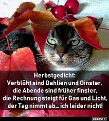 Herbstgedicht Verbluht Sind Dahlien Und Ginster Herbstgedicht Lustig Spruche Leben Lustig Lustige Zitate Und Spruche
