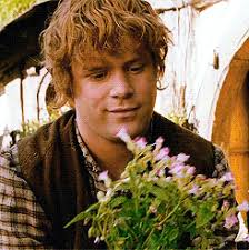 League of Literary Gentlemen: Samwise the Stouthearted, Part Two ~ The  Fangirl Initiative