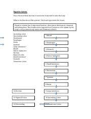 Digestive System Concept Map 1 Docx Digestive System Trace The Food From The Time It Enters The Body Until It Exits The Body What Is The Function Of Course Hero