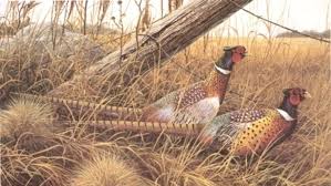 Obituary information for David Wayne Troutman