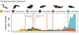 The squamation of gladbachus adentatus heidtke & krätschmer, 2001. Https Www Zora Uzh Ch Id Eprint 177848 1 Freylinda Thesis 5 Pdf