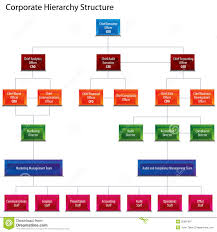 corporate hierarchy structure chart stock vector