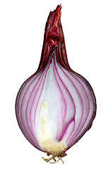 Anda bisa menanam di pekarangan rumah dengan menggunakan pot. Bawang Merah Wikipedia Bahasa Melayu Ensiklopedia Bebas