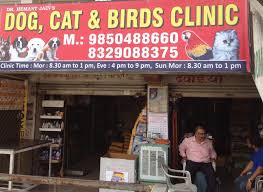 It is what motivates every action we take, and it is why you and your pet mean the world to us. Dog Cat And Birds Clinic Clinics Book Appointment Online Clinics In Chhatrapati Nagar Nagpur Justdial