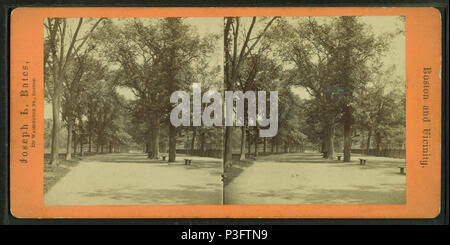 Late 19th century photograph - The Mall, Simla, Shimla, India Stock Photo - Alamy