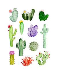 For something a little easier (but still challenging), try rendering the hands or feet. Image Result For Cactus Tumblr Artwork Inspiration Watercolor Paintings Art I Watercolor Art