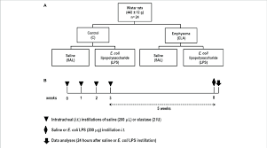 A Schematic Flow Chart And B Timeline Of The Study Design