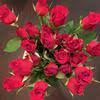 Send flowers to mcallen, tx. Top 1 031 Avas Flowers Reviews Page 2