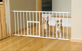 Tips On How To Make Two Dogs Become Friends