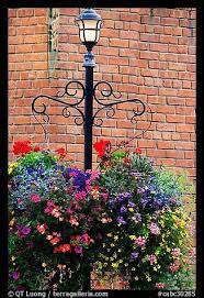 Flowers Street Lamp Brick Wall Victoria British Columbia Canada Color Street Lamp Hanging Plants Outdoor Lamp Posts