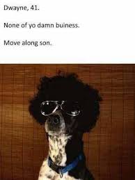Check spelling or type a new query. 12 Hilarious Images Of Dogs Described As Though They Were Humans